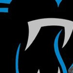carolina panthers