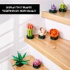Hogokids Succulent Plants Building Set, Unique Mother Day Botanicals with Pots, DIY Flower Decor for Home and Office (570PCS) - 2 of 4