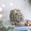 NAYSAYE Party Decoration and Accessories Iced Leaf and Twig Hanging Ornament Set for Holiday Christmas, Silver, 4.5"*4.5"*0.3" - 4 of 4
