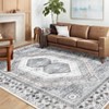 TROPOW Machine Washable Non Slip Non Shedding Rug Vintage Low Pile Foldable Rugs Oriental Medallion Stain Resistant Carpet for Bedroom - 2 of 4