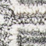 dark grey/light grey