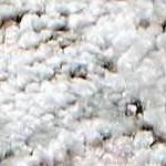 cream, mustard, charcoal, lightgray, mediumbrown, lightbrown