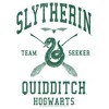 Men's Harry Potter Slytherin Quidditch Team Seeker Pull Over Hoodie - 2 of 4