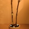 DR.Planzen 5/6FT LED Illuminated Olive Tree with Planter Lights, Twinkling Artificial Christmas Tree for Holiday Party Decor & Home Festive Displays - 3 of 4