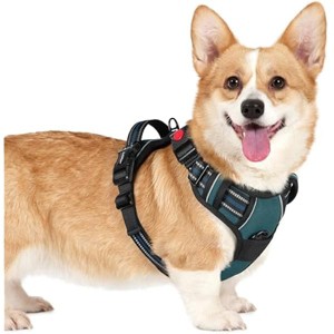 rabbitgoo Dog Harness Small Sized, No Pull Pet Harness with 3 Buckles, , Walking Reflective Pet Vest for Small Dogs, Blue Coral, S - 1 of 1