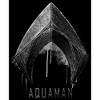 Men's Zack Snyder Justice League Aquaman Silver Logo Pull Over Hoodie - 2 of 4