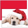 Masterpiece Studios Great Papers! Holiday Greeting Card, Santa Puppy, 16 Cards/16 Envelopes, 7.875" x 5.625" (824900) - 2 of 2