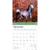 BrownTrout Horse Lovers 2026 12"x24" Hanging Square Wall Calendar Plastic-Free - 4 of 4