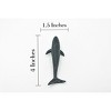 Whale, Blue Whale, Marine Mammal, Rubber Animal, Realistic Toy Figure, Model, Replica, Kids, Hand Painted, Gift,    4 Inches   CH448 BB114 - 3 of 4