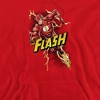 Jla Bolt Run Adult Pull-Over Hoodie - 2 of 4