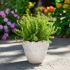 Stoneware Ceramic Planter with Embossed Floral Rim and Curved Edge Detailing for Decorative Display and Contemporary Accent Styling - 4 of 4