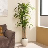 DR.Planzen 6/7/8FT Artificial Dracaena Tree in White Pot, Realistic Faux Dracaena Plant , Perfect Present for Indoor Outdoor Home Decor - 2 of 4