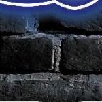 clear push pins bundle