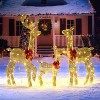 Joyfy 3 Pcs 2D Christmas Reindeer Family Yard Light Decorations, 180 LEDs Lights with Metal Stakes for Xmas Indoor Outdoor Garden Holiday Decoration - 4 of 4