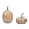 Transpac Glass 11.5 in. Orange Harvest Pumpkins Set of 2 - 2 of 4