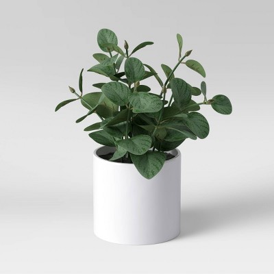 8" x 7.5" Artificial Eucalyptus Plant Arrangement in Pot - Threshold™