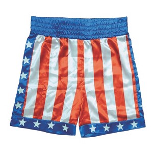 Trick or Treat Studios Mens Apollo Creed Boxing Trunks Costume - Size One Size Fits Most - Black - 1 of 1