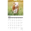 Willow Creek Press Cow's 2025 Wall Calendar: Monthly 12x12 Inch Paper, Blue, All Ages, Sewn Binding - 3 of 4
