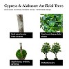 Cypress & Alabaster | Handmade 3' Artificial Bay Olive Topiary Tree In Home Basics Plastic Pot Made With Real Wood And Moss Accents - 3 of 4