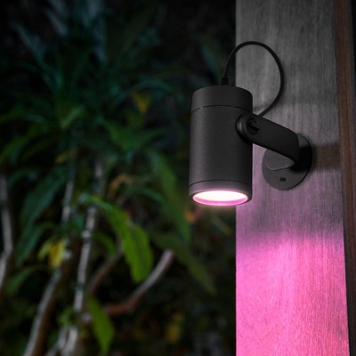Philips Hue Black Matte Chrome Outdoor LED Smart Spot Light