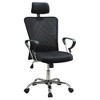TiramisuBest Black Breathable Mesh Office Chair: Height Adjustable, Ergonomic & Mobile - 2 of 4