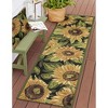 Liora Manne Marina Garden Indoor/Outdoor Pillow.. - 2 of 4