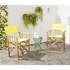 Laguna Director Chair Indoor/Outdoor (Set Of 2) - Safavieh - 2 of 4
