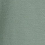 lily pad green