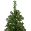 Northlight Pre-Lit Medium Oakridge Noble Fir Artificial Christmas Tree - 3' - Clear Lights - 4 of 4