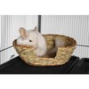 Prevue Pet Medium Oval Pet Nest Woven Natural Grass - 1071 - 2 of 2