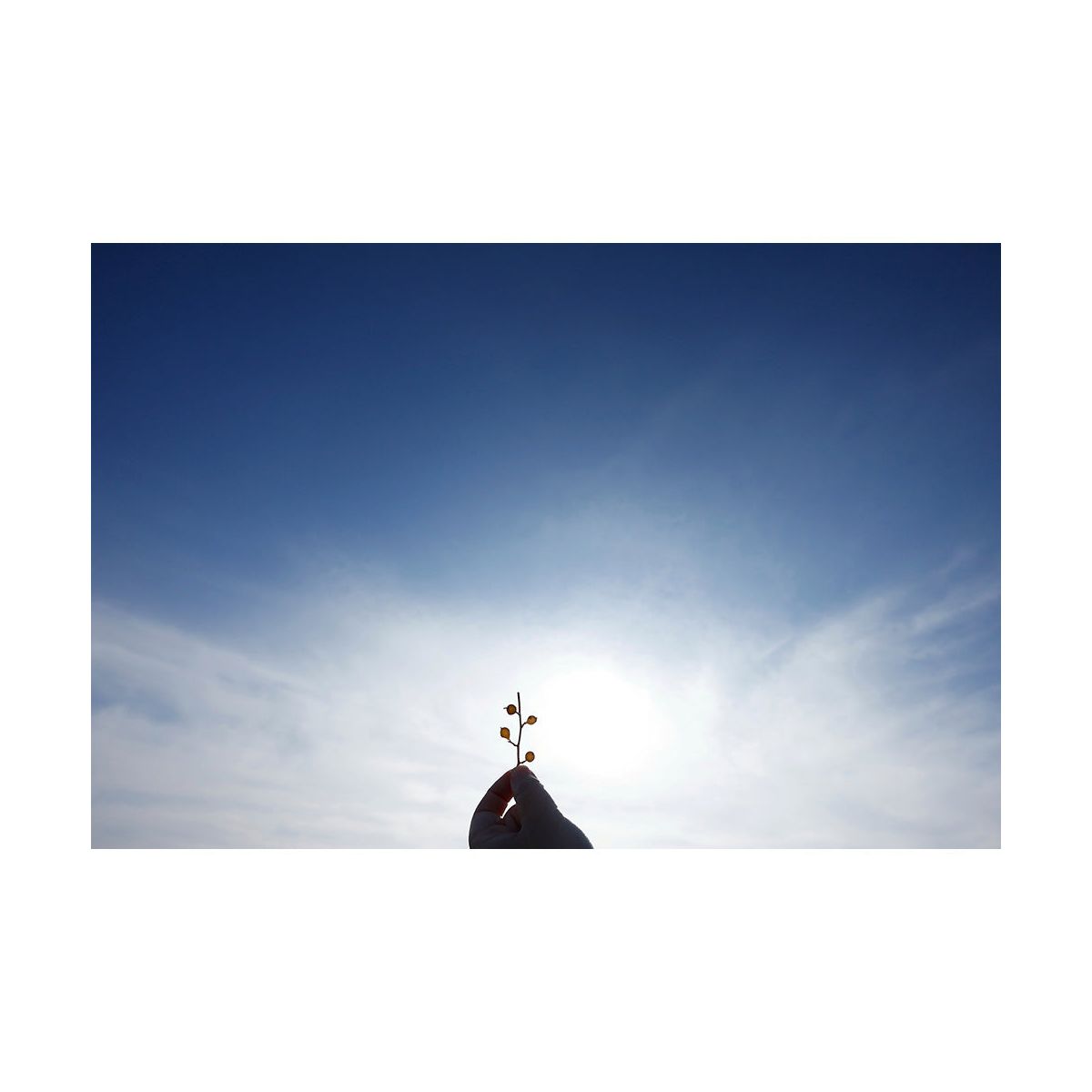 Sigma 10-18mm F2.8 DC DN | Contemporary Lens Mount (Canon RF) - thumbnail 5