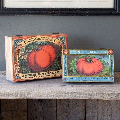 Park Hill Collection Tomato Seed Pack Storage Boxes