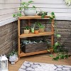 Sunnydaze Indoor/Outdoor Meranti Wood with Teak Oil Finish 3-Tiered Corner Flower Plant Stand Shelf Display - 36" - Brown - 4 of 4
