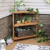 Sunnydaze Indoor/Outdoor Meranti Wood with Teak Oil Finish 3-Tiered Corner Flower Plant Stand Shelf Display - 36" - Brown - image 4 of 4