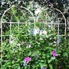 Dolonm 4 Pack Metal Garden Trellis 71" x 19.7" Rustproof Trellis for Climbing Plants Outdoor Flower Support Cream White - 2 of 4