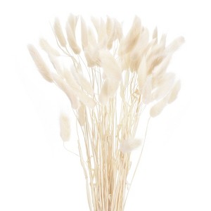 Unique Bargains Natural Dried Floral Bunny Tail Artificial Plants 60 Pcs - 1 of 4