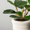 8" Mini Faux Hoya Heart Plant - Hearth & Hand™ with Magnolia - 3 of 3