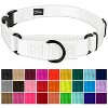 Country Brook Petz Heavyduty Nylon Martingale with Premium Buckle - 3 of 4