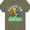 Boys' - Sesame Street - Raised On Sesame Street Short Sleeve Graphic T-Shirt - 2 of 4