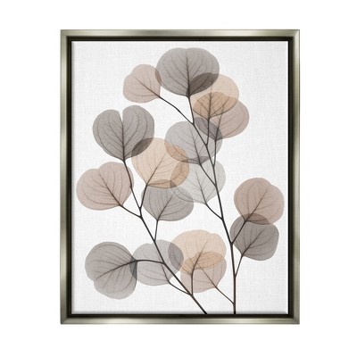 Stupell Industries Modern Eucalyptus Leaf Stems Translucent Brown Grey Leaves