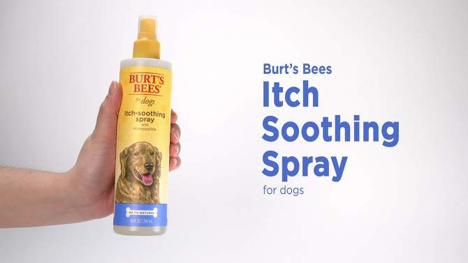 Burt&#39;s Bees Itch Soothing Spray with Honeysuckle for Dogs - 10 fl oz, 2 of 5, play video