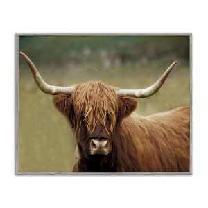 Stupell Industries Highland Cattle Shaggy Hair Country Animal Portrait Photography Framed Giclee Art - 1 of 4