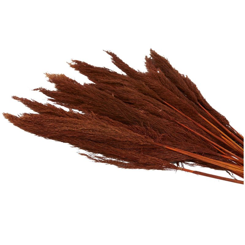 35&#39;&#39; x 2&#39;&#39; Dried Plant Pampas Natural Foliage with Long Stems Copper - Olivia &#38; May, 4 of 8