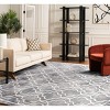 Dip Dye DDY539 Hand Tufted Indoor Rugs - Safavieh - 3 of 4