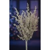 Glittered Berry Spray Set of Twelve Faux Stems 24 inch by Melrose - 2 of 3