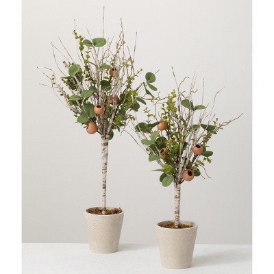 Sullivans Artificial Set of 2 Birch Eucalyptus Pod Topiaries 24"H & 21"H Green