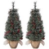 3 Ft Christmas Tree, Small Christmas Tree, Table Top Xmas Tree Decoration with Warm White Lights, Green, Pine Cones - 2 of 4