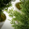 22"H, 26"H and 32"H Sullivans Faux Dwarf Cedar Tree - Set of 3, Green - 2 of 2