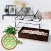 D'Eco Glass Castle Plant Terrarium (10x9x5) - Black Geometric Metal Planter w Wood Base - Grow Your Own Plants - Gift for Plant Lovers & Mother's Day - 3 of 4