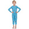 Blue Dinosaurs/Stripes 2 pack Kids Pajamas - image 2 of 3